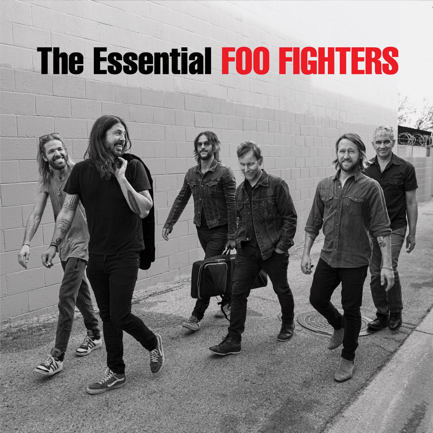 THE ESSENTIAL FOO FIGHTERS VINYL