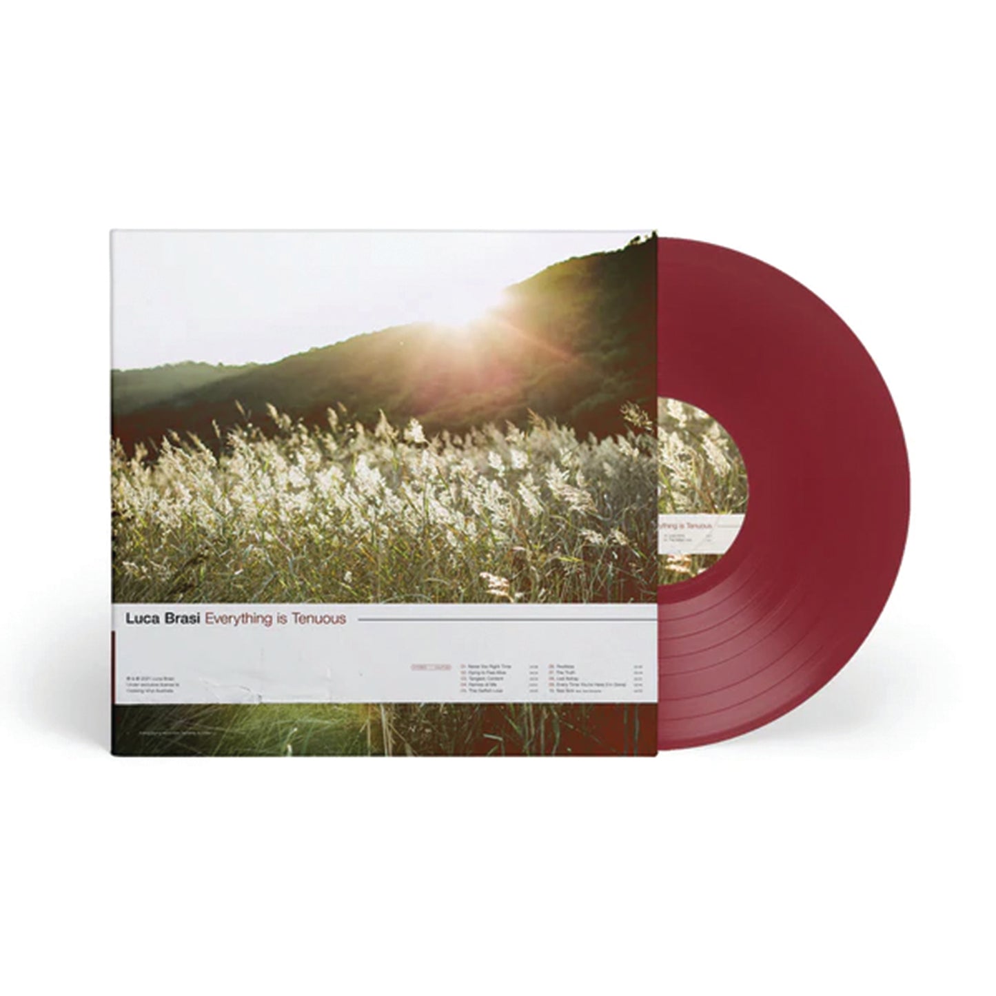 EVERYTHING IS TENUOUS (OXBLOOD COLOURED) VINYL