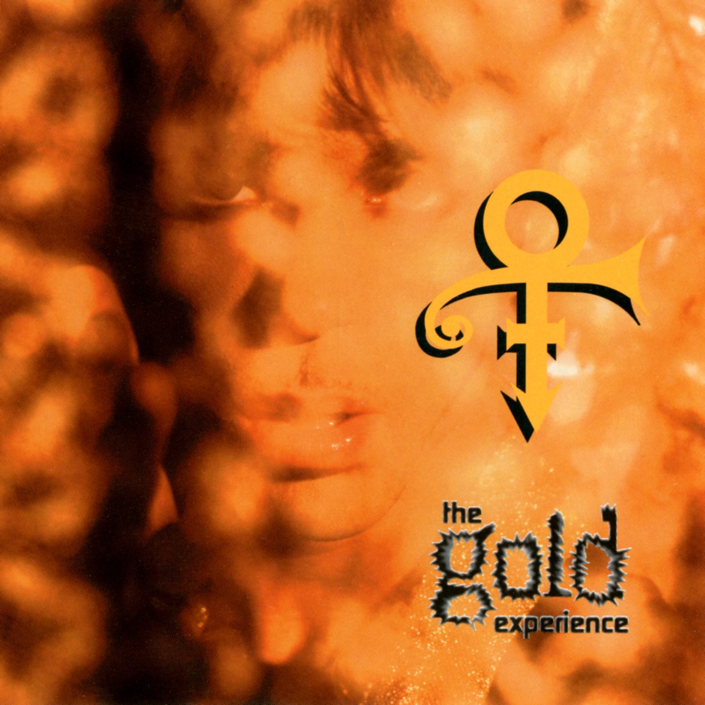 THE GOLD EXPERIENCE VINYL